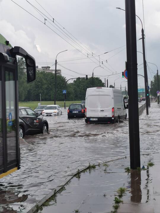 Liūtis ir kruša Kaune