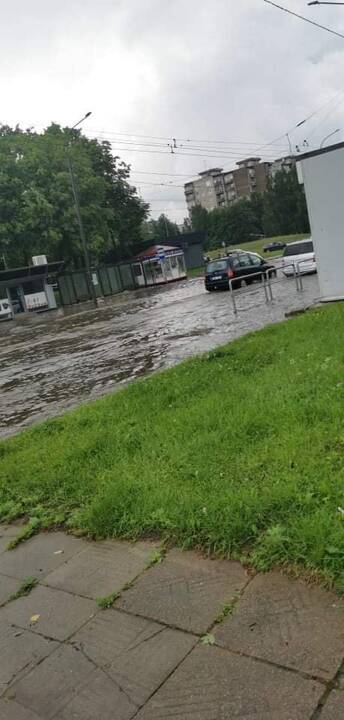 Liūtis ir kruša Kaune