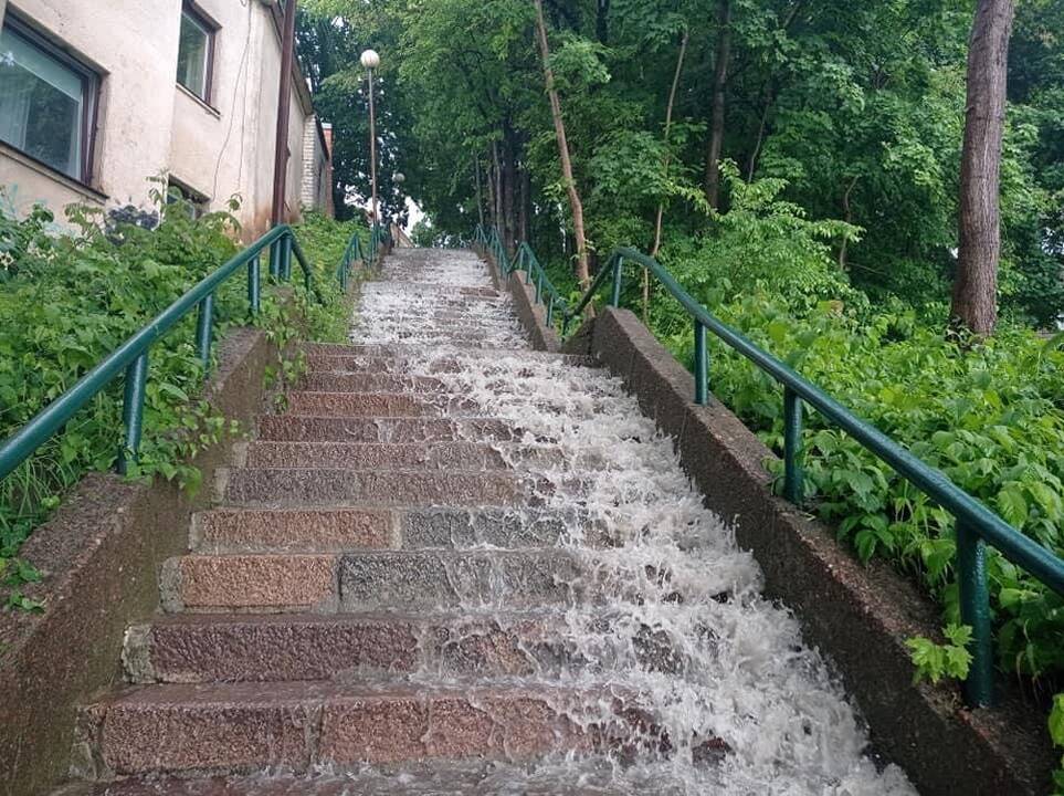 Liūtis ir kruša Kaune