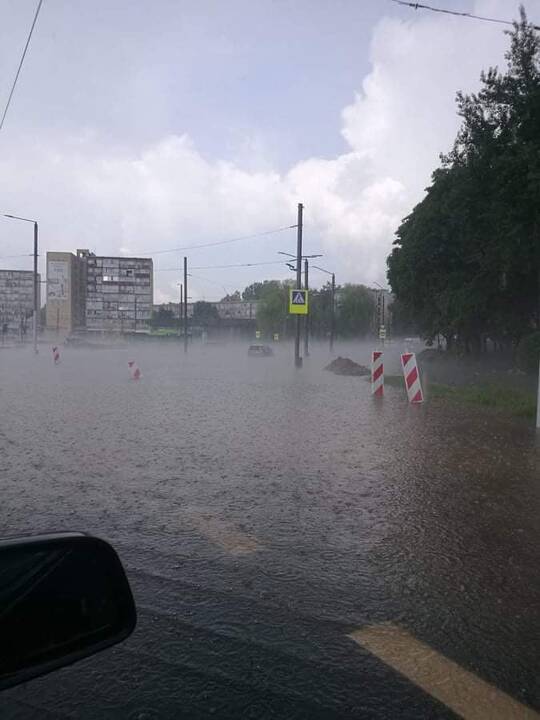 Liūtis ir kruša Kaune