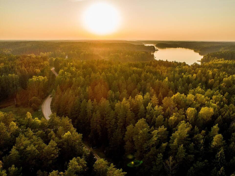 Diskusijos dėl miškų ateities rodo, kad susitarti būna itin sunku