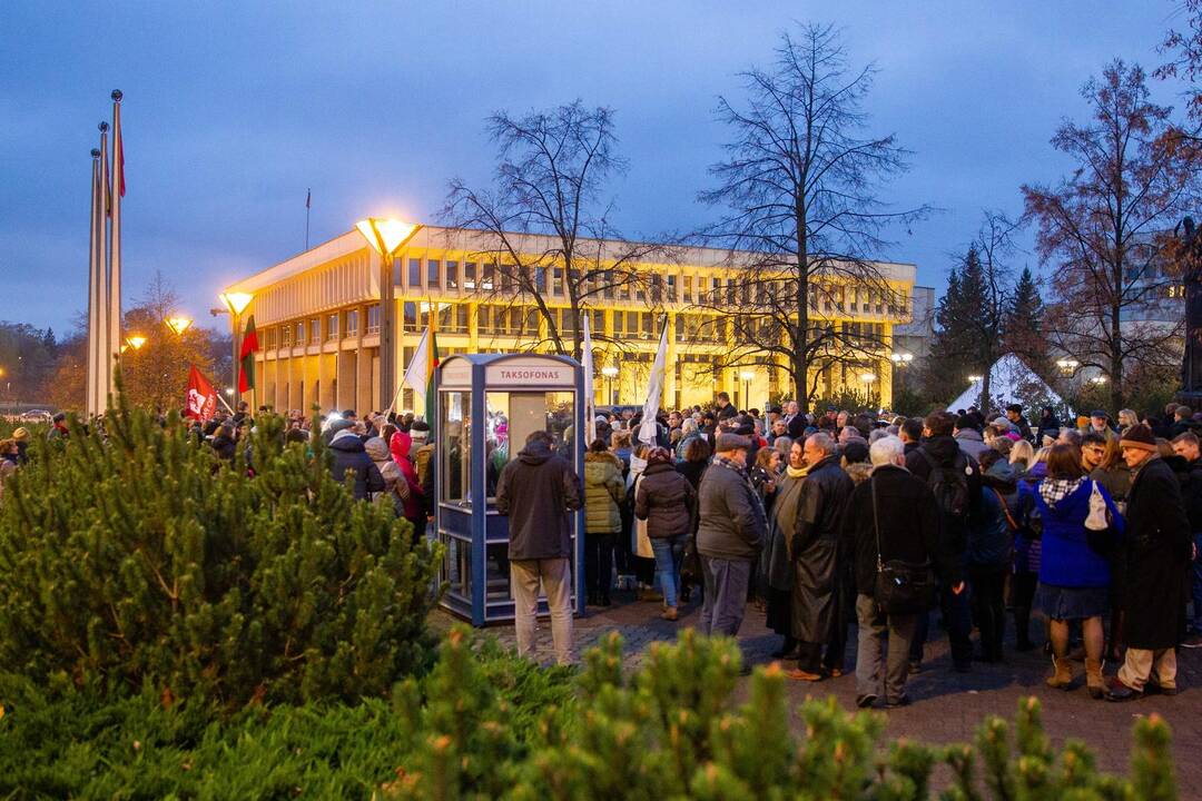 Mitingas prie Seimo dėl vaikų paėmimo iš šeimų