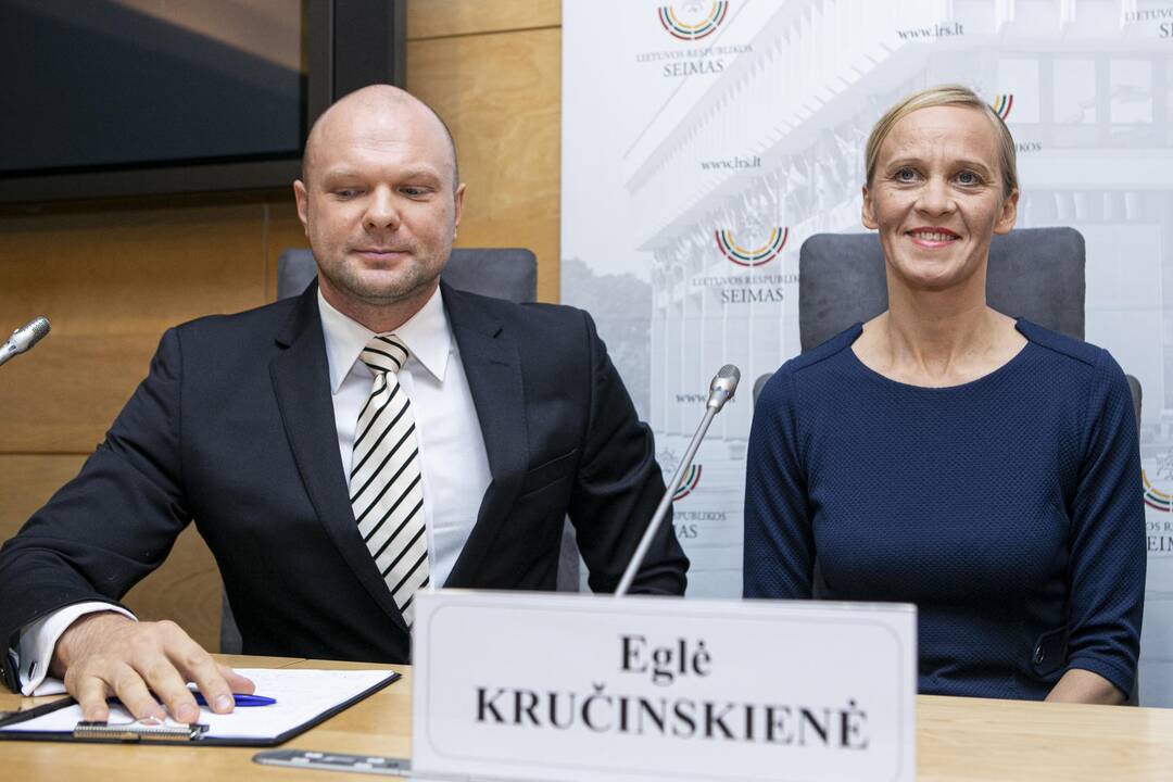 N. Puteikio spaudos konferencija