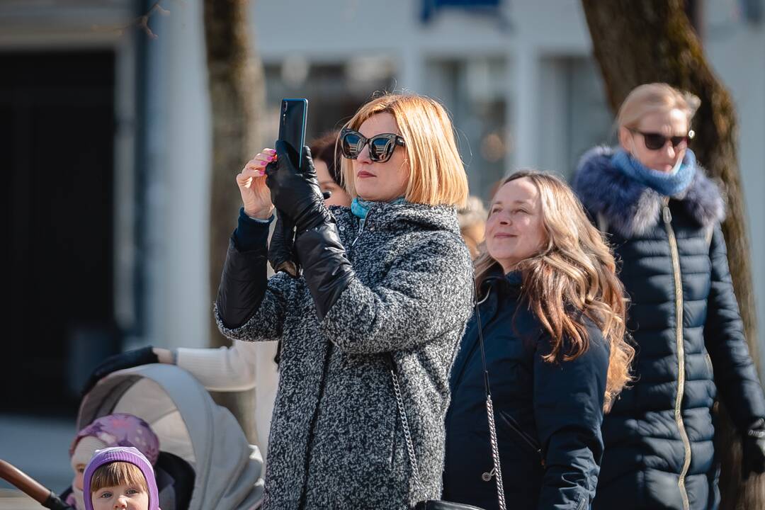 „Ąžuolynas“ Kauno miesto savivaldybėje