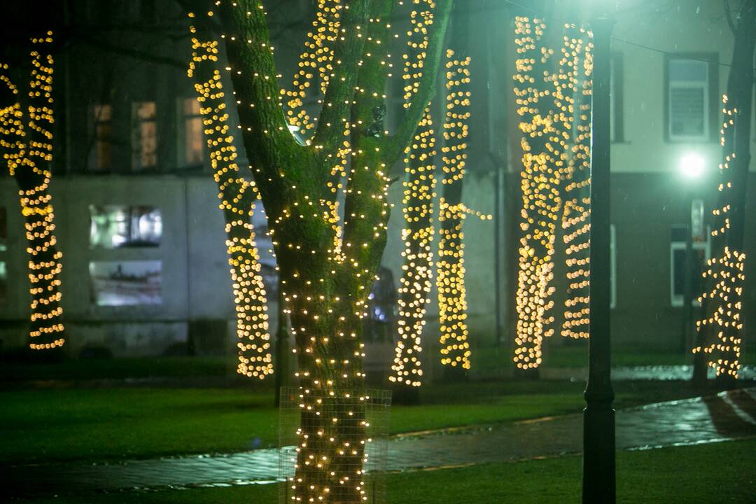 Šventėms pasipuošė Istorinės Prezidentūros kiemelis