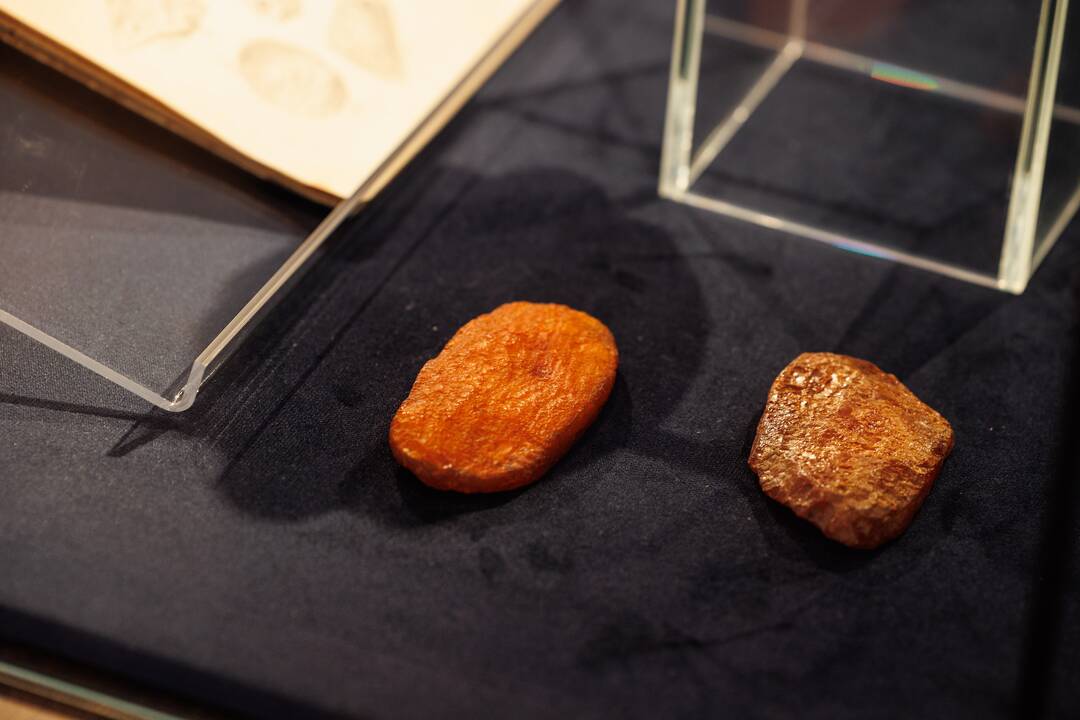 Kretingos muziejuje – išskirtinė gintaro kolekcija