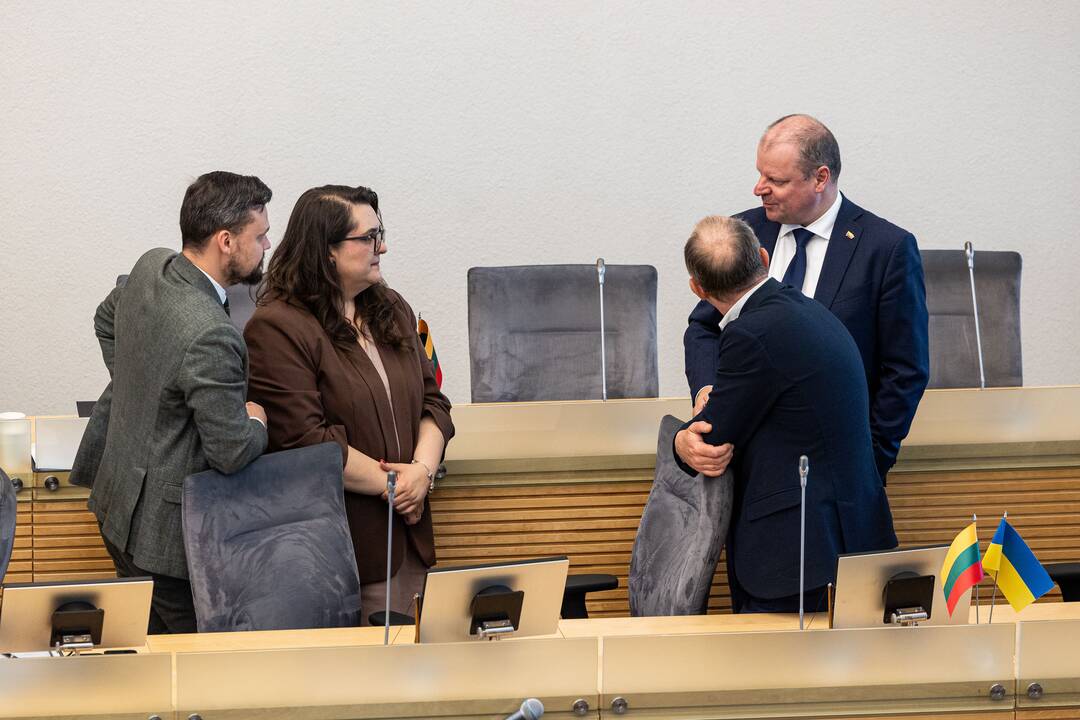 Balsavimas dėl Irenos Segalovičienės paskyrimo valstybės kontroliere