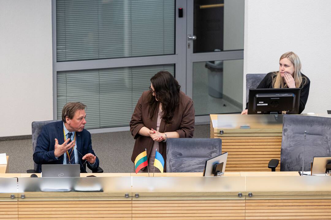 Balsavimas dėl Irenos Segalovičienės paskyrimo valstybės kontroliere