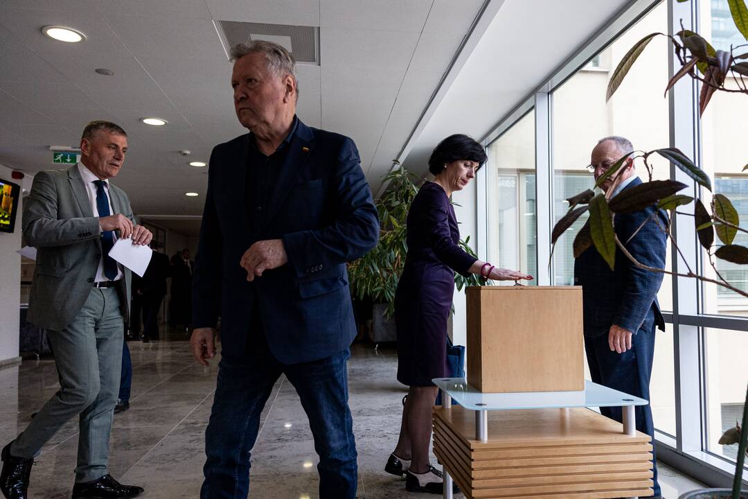 Balsavimas dėl Irenos Segalovičienės paskyrimo valstybės kontroliere