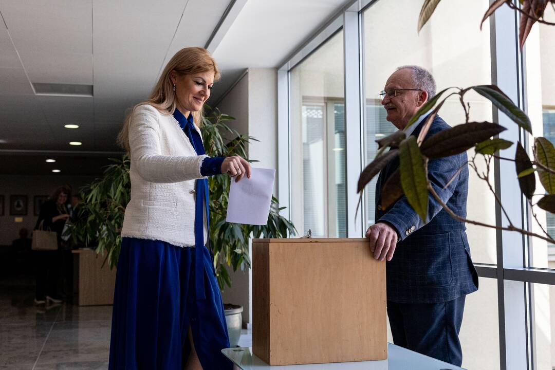 Balsavimas dėl Irenos Segalovičienės paskyrimo valstybės kontroliere