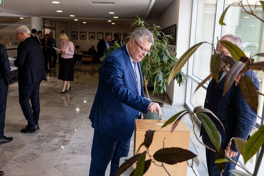 Balsavimas dėl Irenos Segalovičienės paskyrimo valstybės kontroliere