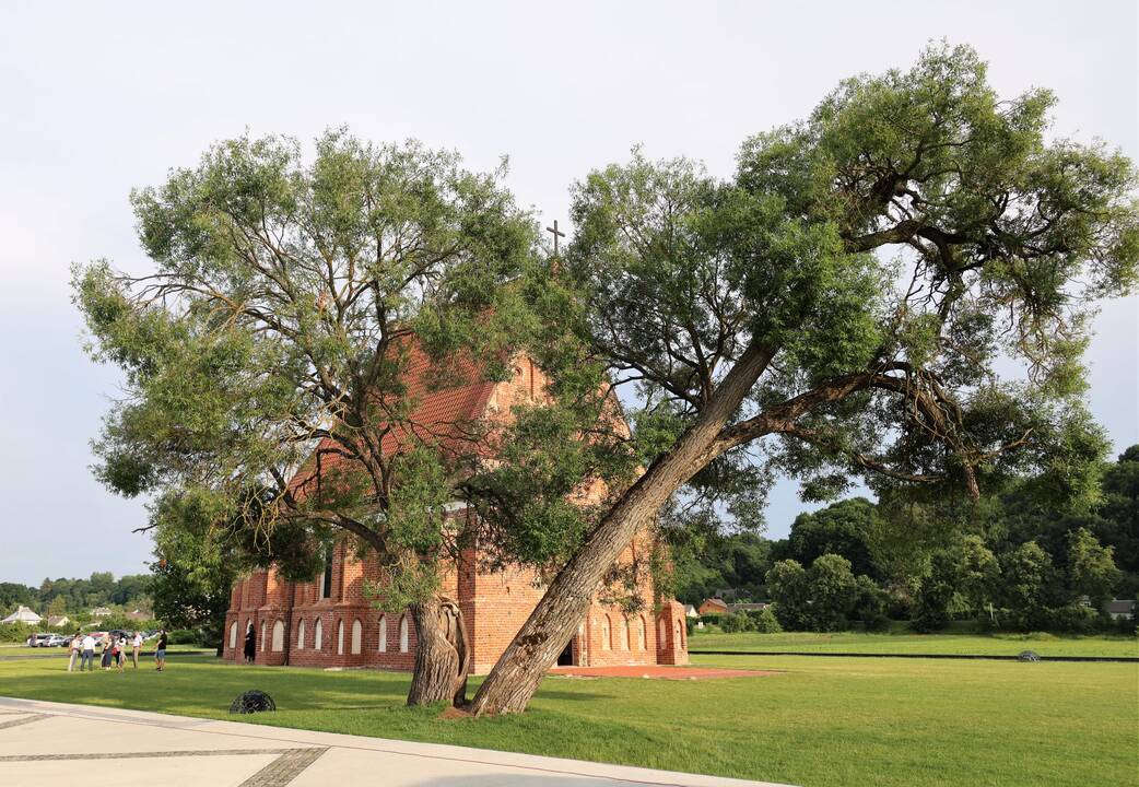 Architektų šventė Zapyškyje
