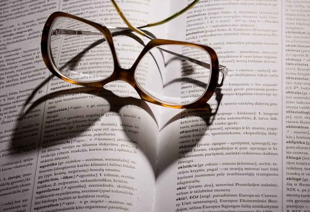 Parengtas pirmasis lengvai suprantamos kalbos žodynas