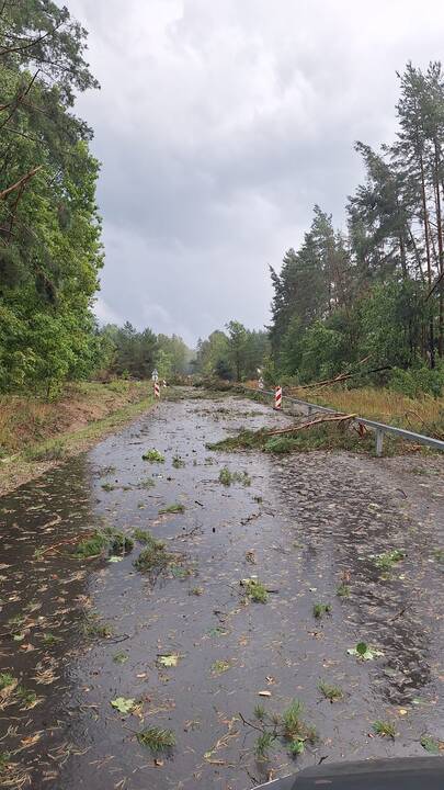 Lietuvą nusiaubė audra