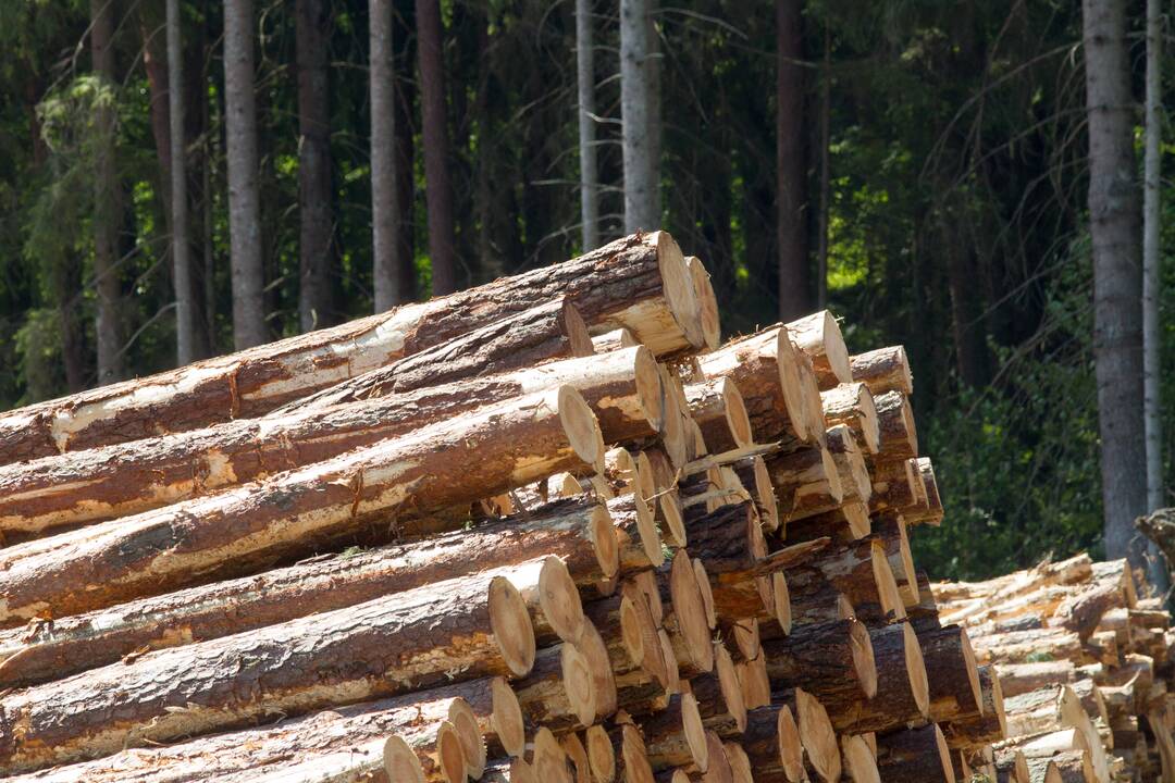 Kirtavietėje Balbieriškyje degė smulkinta mediena