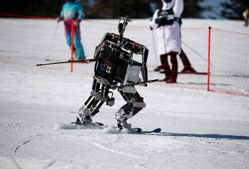 Robotų slidinėjimo lenktynės