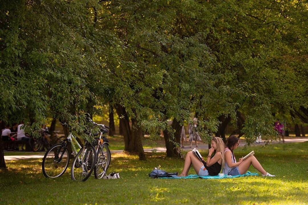 Atnaujinto Draugystės parko atidarymas
