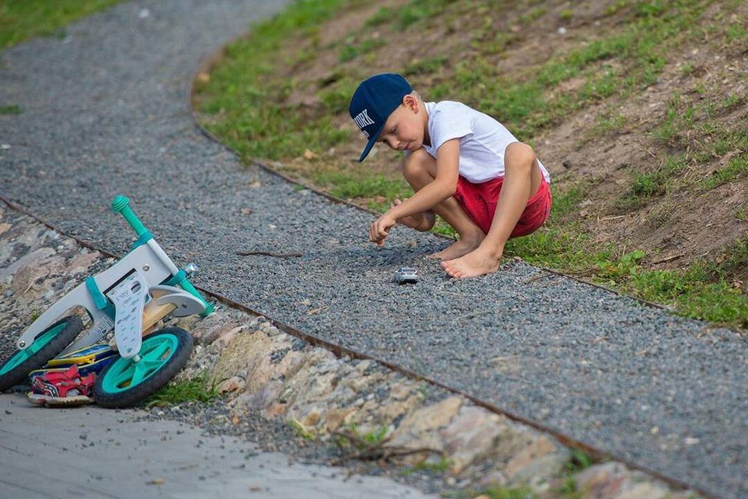 Atnaujinto Draugystės parko atidarymas