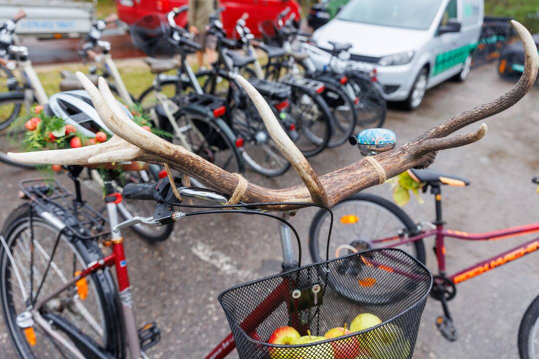 Rekonstruotas Kuršių nerijos dviračių takas