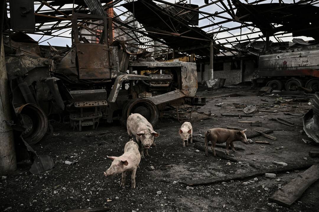 115-oji karo Ukrainoje diena