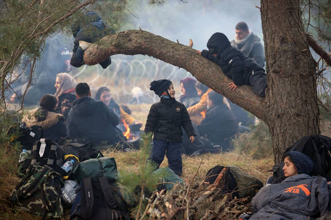 Nelegalūs migrantai Lenkijos ir Baltarusijos pasienyje