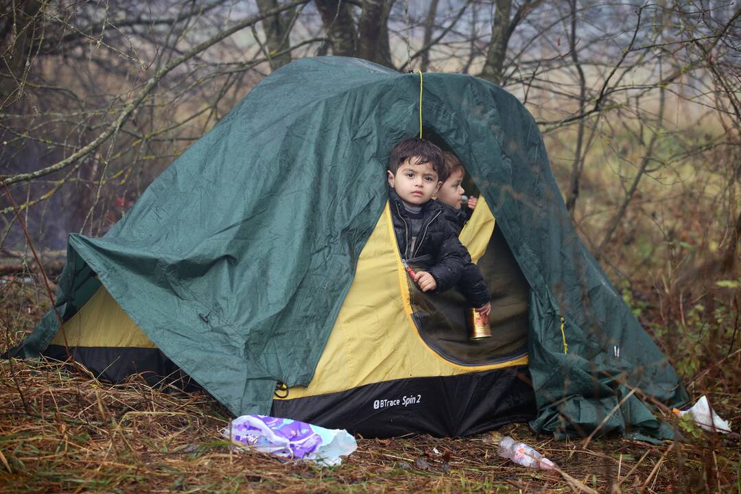 Nelegalūs migrantai Lenkijos ir Baltarusijos pasienyje