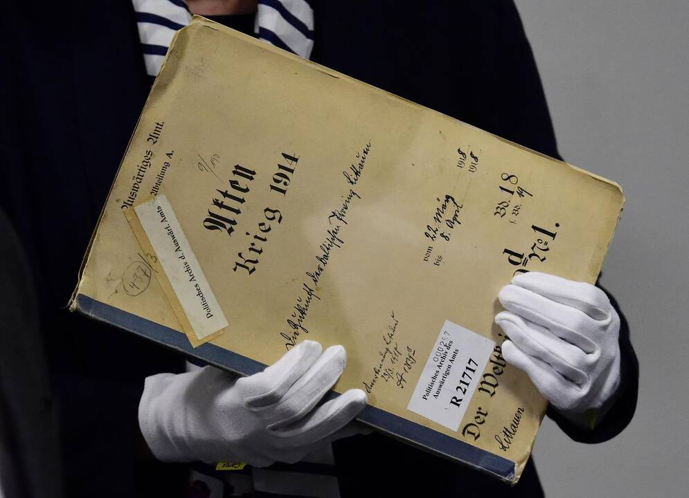 Istorikas: Lietuvai svarbių atradimų bus dar ne vienas
