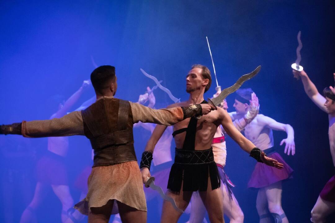 Charkivo operos ir baleto teatro baleto gala koncerte spindės ryškiausių klasikinių ir modernių baletų fragmentai.