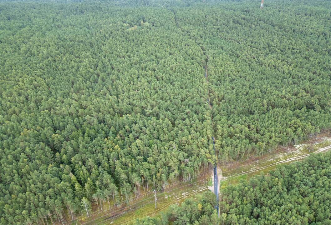 Rekonstruotas Kuršių nerijos dviračių takas