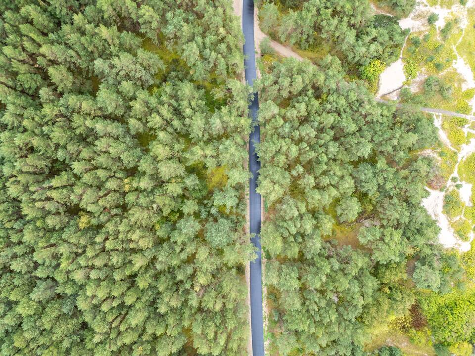 Rekonstruotas Kuršių nerijos dviračių takas