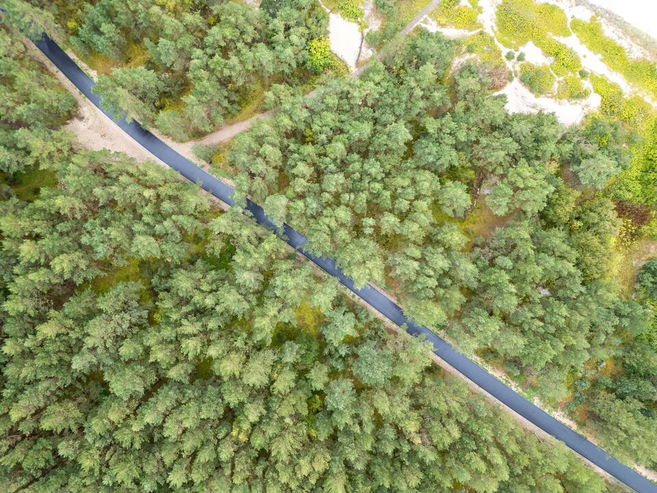 Rekonstruotas Kuršių nerijos dviračių takas