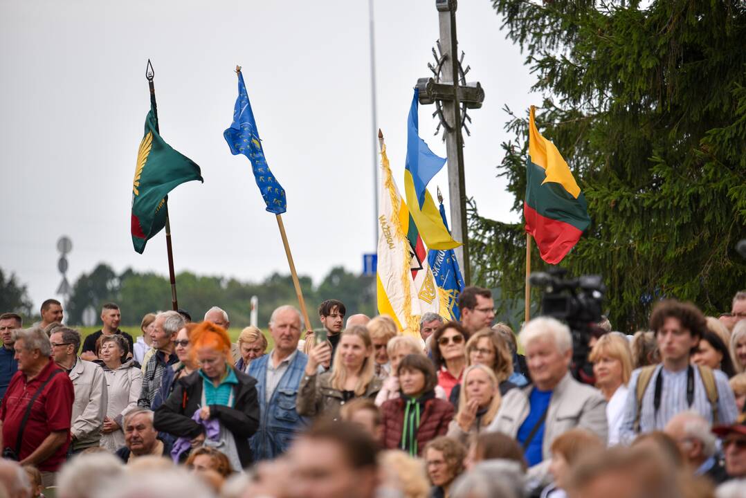 Baltijos kelio 35-ųjų metinių minėjimas