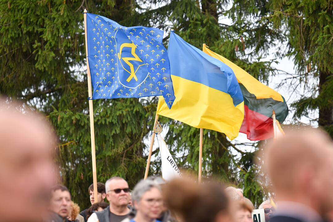 Baltijos kelio 35-ųjų metinių minėjimas