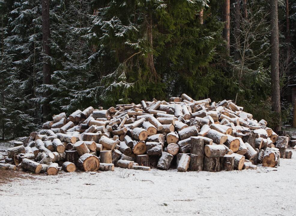 Siūlo lengvatinį PVM taikyti malkoms ir kitam kurui