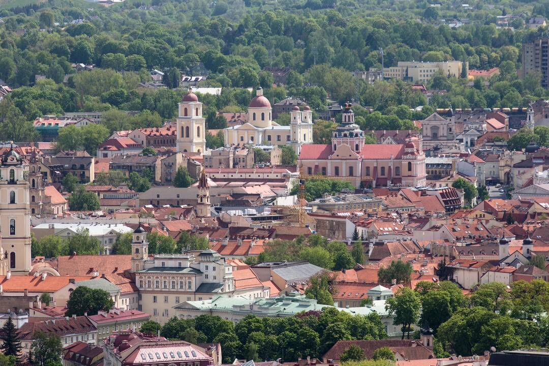 „Idėja Lietuvai“: ar suveiktų Airijos scenarijus?