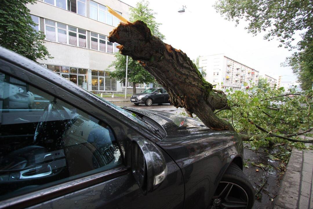 Perspėja, kad draudimas vairuotojams gali brangti