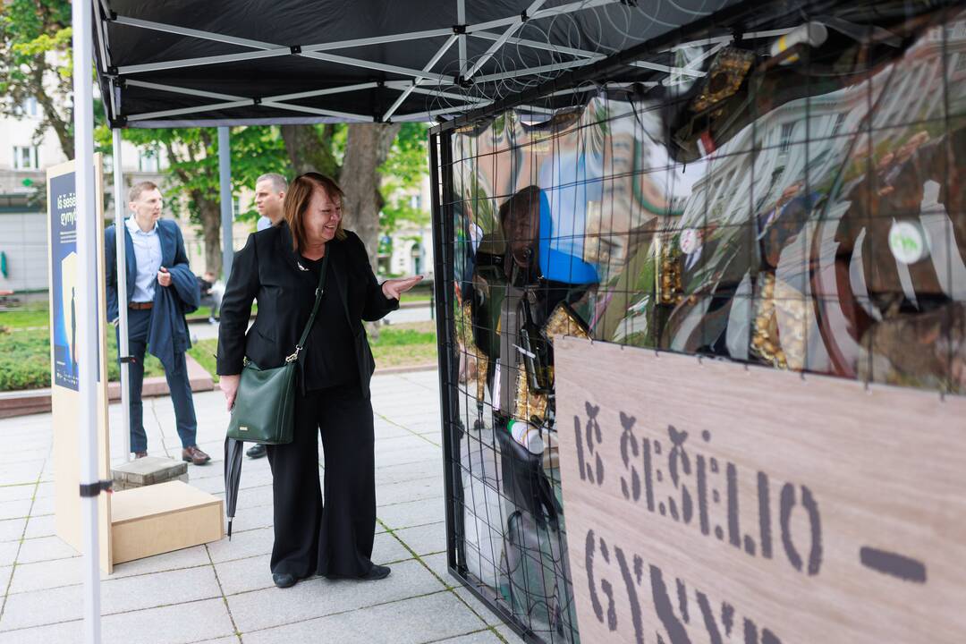 Konferencija „Iš šešėlio – gynybai“