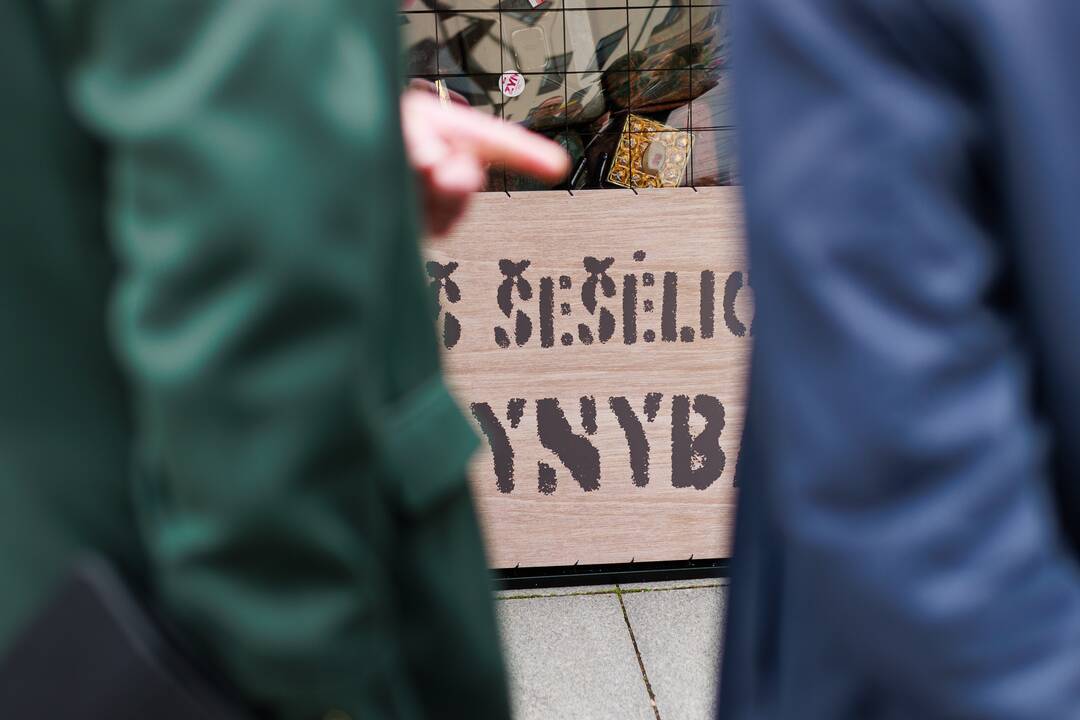 Konferencija „Iš šešėlio – gynybai“