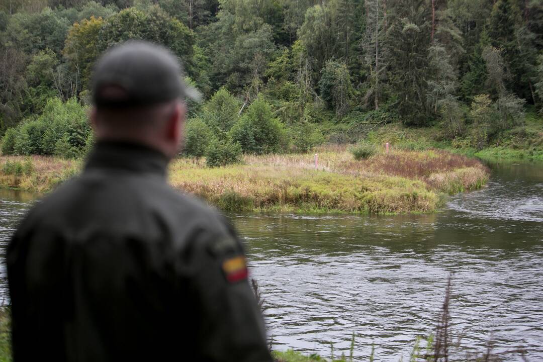 Pavoverės pasienio užkarda