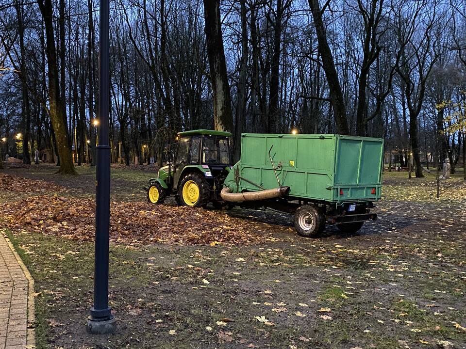 Darbai: Skulptūrų parke buvo matyti nedidelis traktorius su priekaba, ši priemonė taip pat skirta rudeninių lapų tvarkymui.