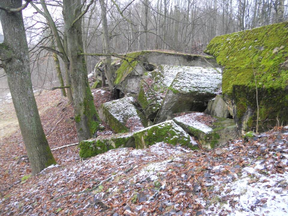 Vaišvydavos blindažo nė nereikėjo bombarduoti