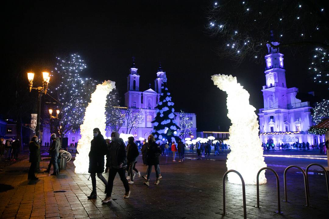 Šventinės Kauno Kalėdų eglės įžiebimo akimirkos