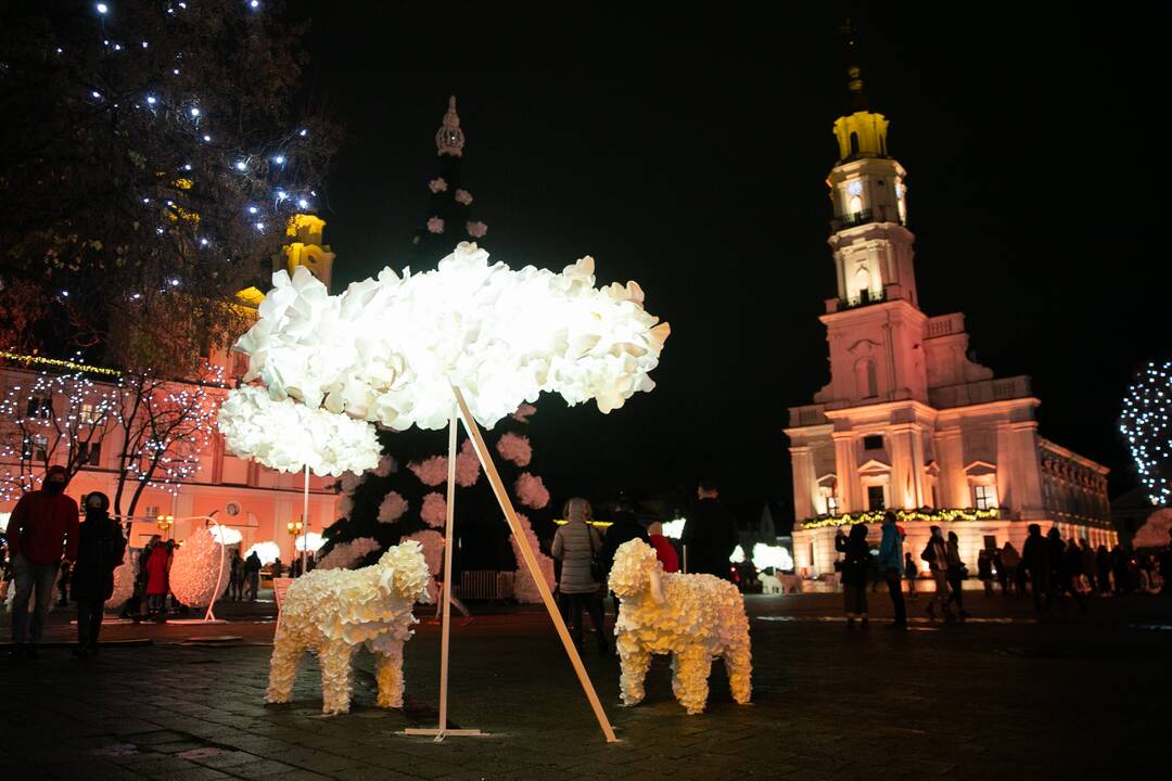 Šventinės Kauno Kalėdų eglės įžiebimo akimirkos