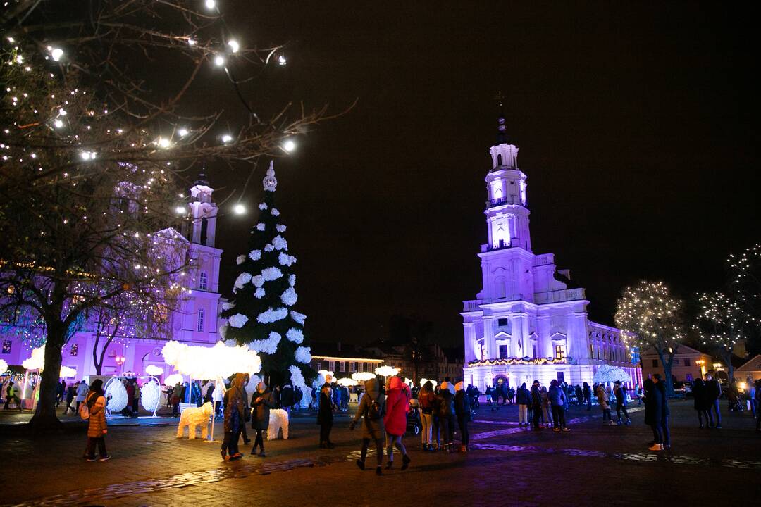 Šventinės Kauno Kalėdų eglės įžiebimo akimirkos