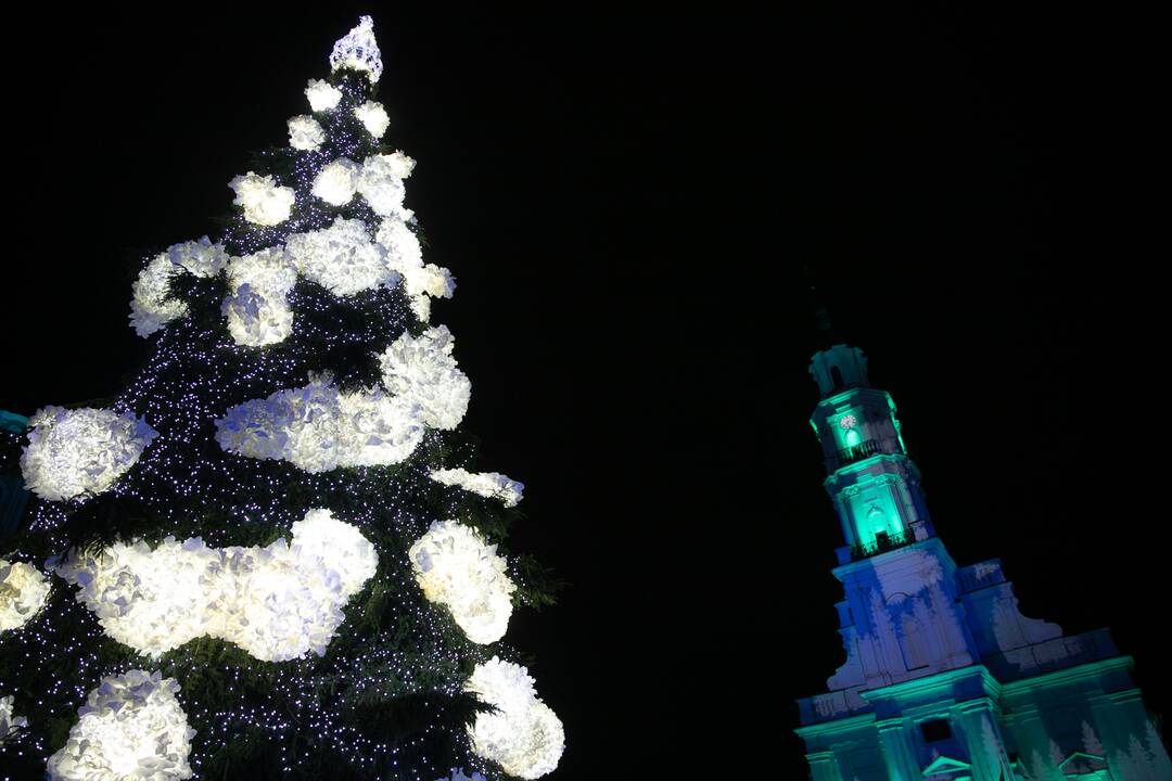 Šventinės Kauno Kalėdų eglės įžiebimo akimirkos