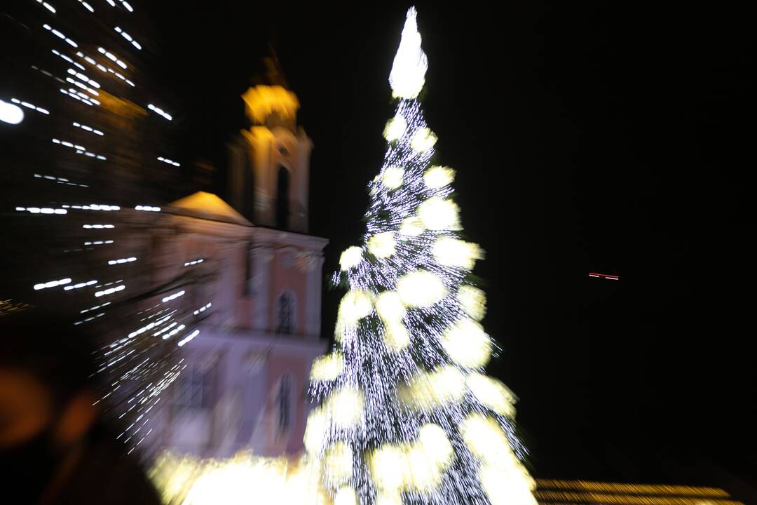 Šventinės Kauno Kalėdų eglės įžiebimo akimirkos