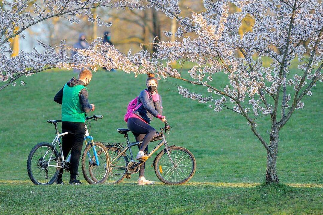 Vyriausybė vėl pratęsė karantiną