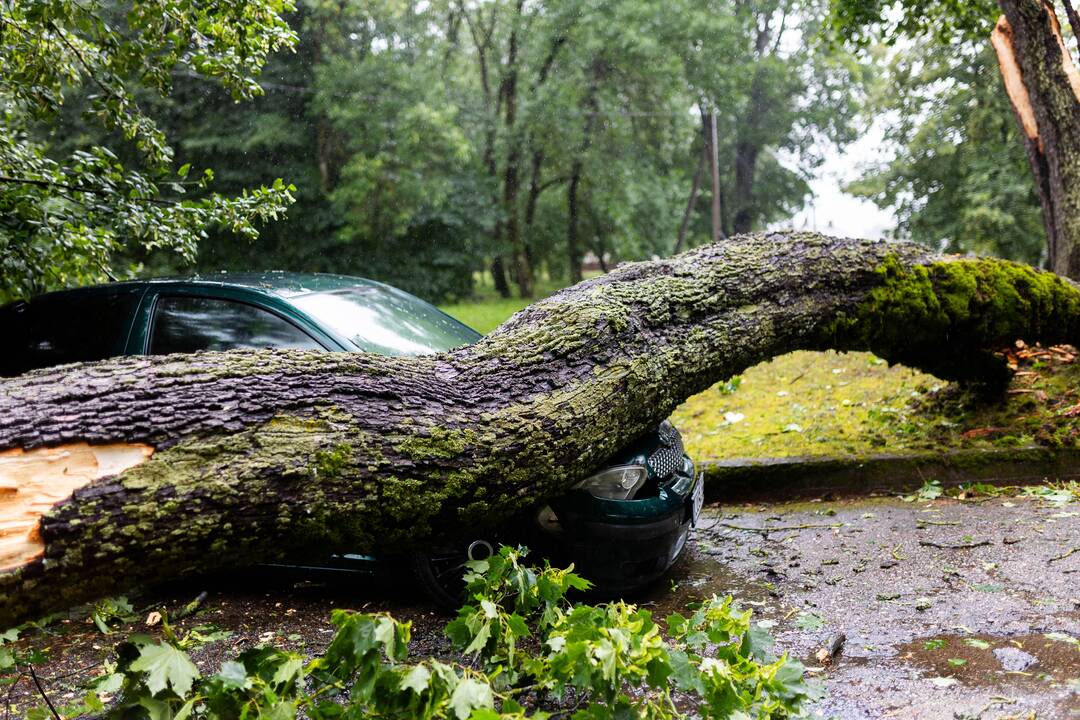 Draudikai: per tris dienas gauta pranešimų dar dėl beveik 2,5 mln. eurų audros nuostolių