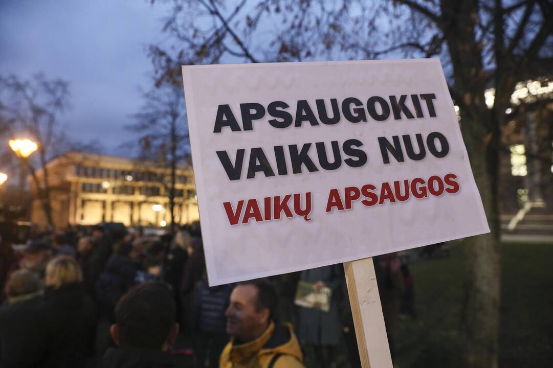 Mitingas prie Seimo dėl vaikų paėmimo iš šeimų
