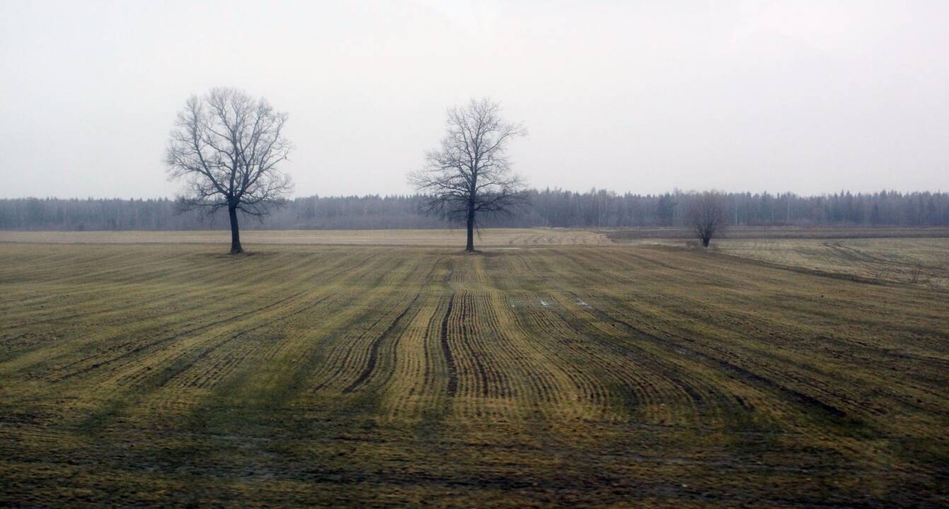 Prasideda pasėlių deklaravimas: ką svarbu žinoti?